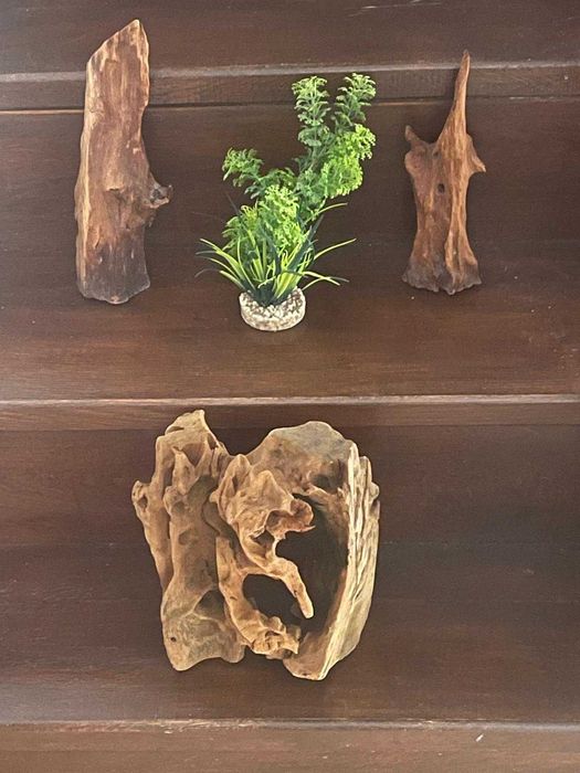 Acvariu cu accesorii - 54 Litri