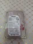 Maxtor 80GB qattiq disk