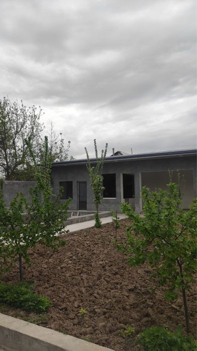 Dacha dala hovli sotiladi