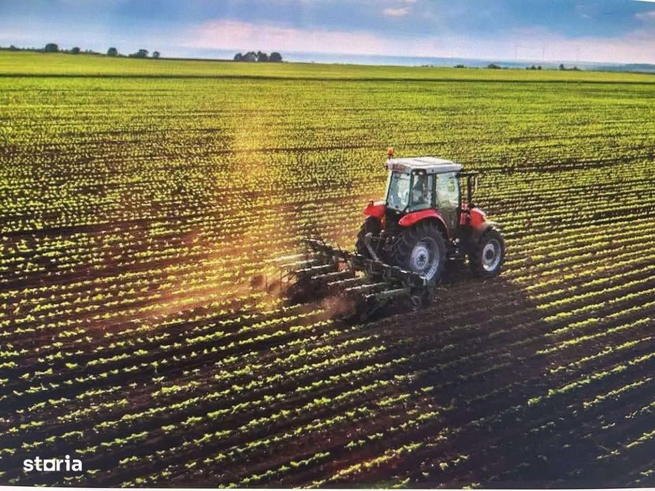 Teren agricol,Iasi,Comuna Romanesti
