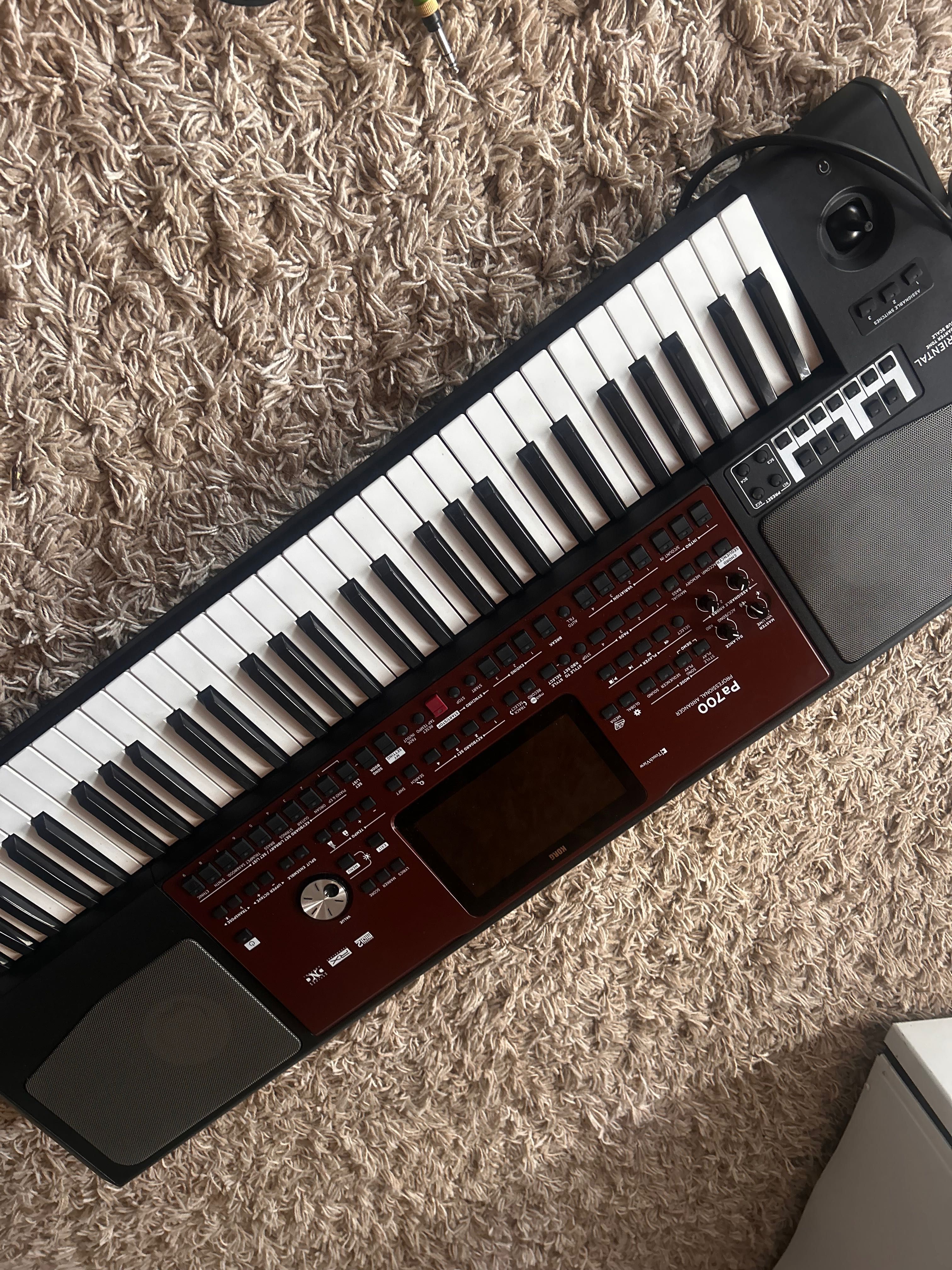 Йоника (korg pa700)