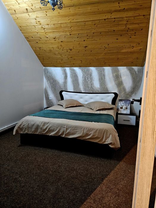 Cabana de inchiriat-Pârtia ski baisoara / Buscat/ Ciubăr/Jacuzzi/Atv