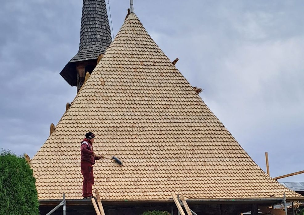 Dranita ,șita ,sindrila horjita .de la 30cm pana la 90 cm