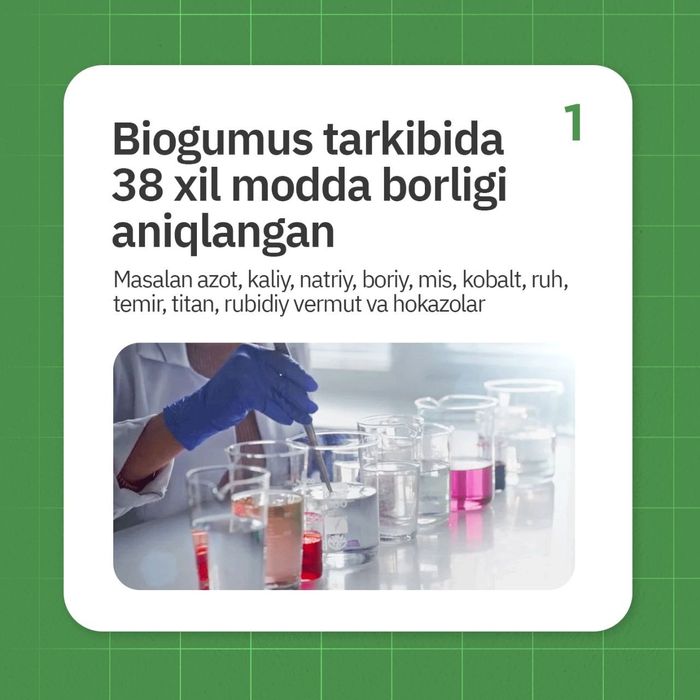 Калифорния чувалчанги калифорнийский червы