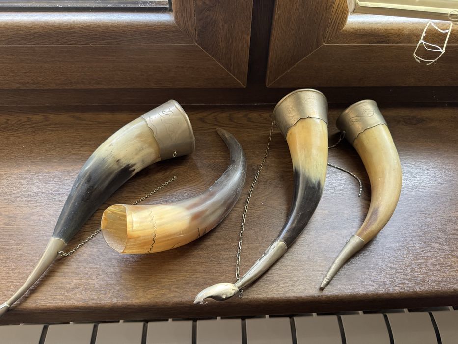Продаю рога, декор, фужер для вина, коллекционные