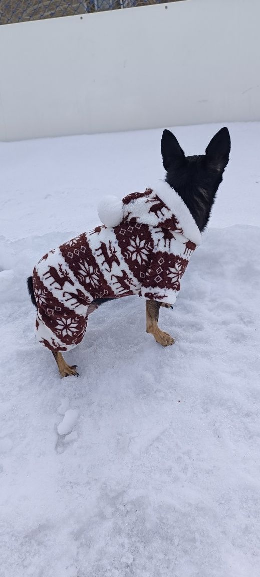 Одежда для собак и кошек, пижамка