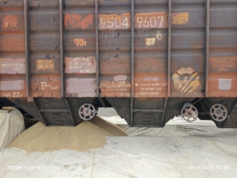 Козок арпа оптомга