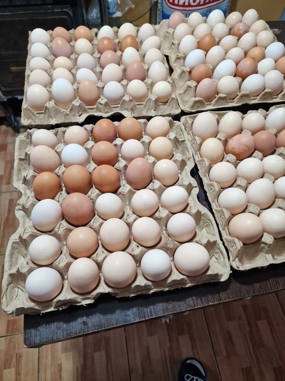 Домашние куриные яйца