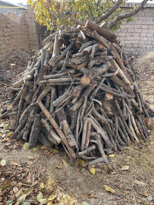 Мевали дарахт ўтинлари