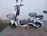 Scuter electric ,moped  500W Cod 006Z