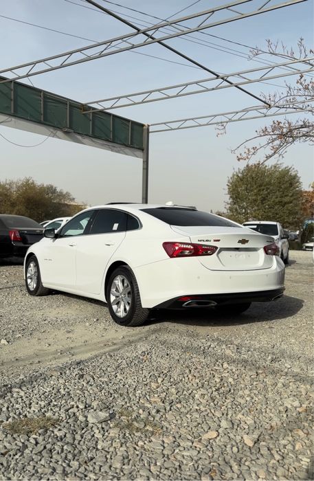 Malibu Primer 2021 Korea