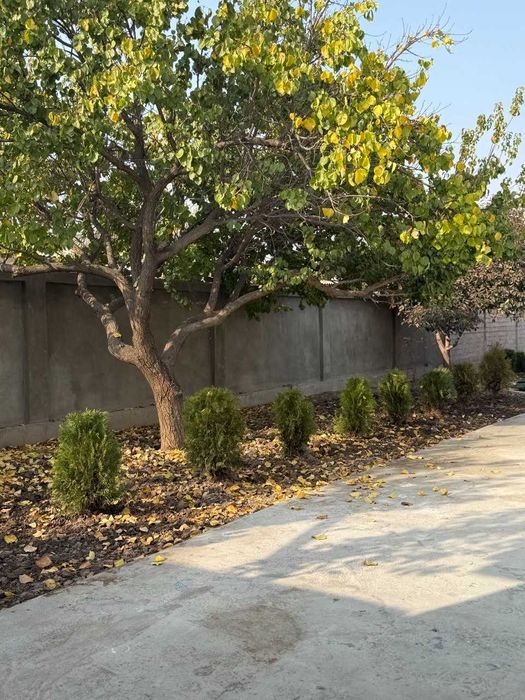 Продается Евродом 15,3 сотки элитная махалля