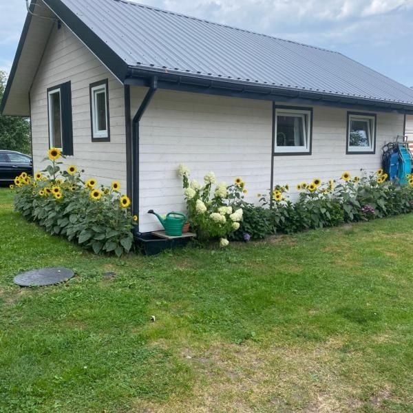 Vand case pe profil metalic cu panouri sandwich