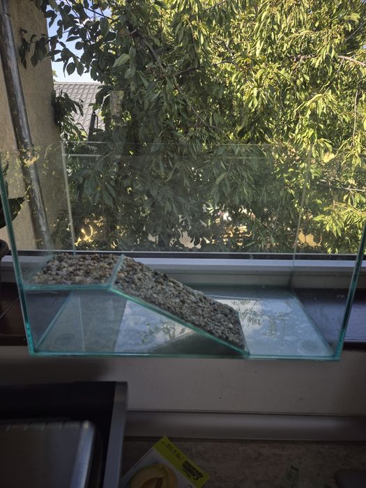 Acvariu țestoasă terariu