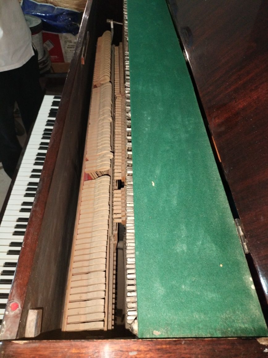 Pionina sotiladi
