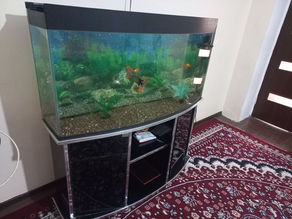 Аквариум с рыбками 9штук