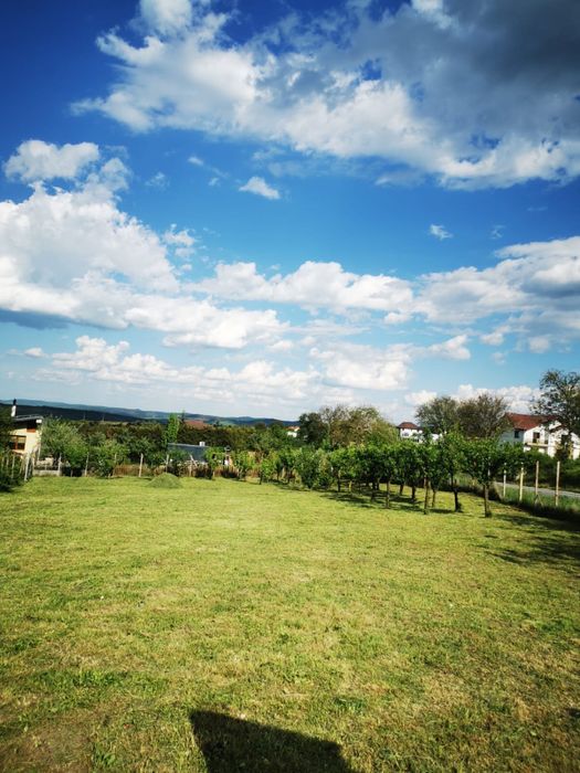 Teren intravilan Daia Noua 930mp (Poziție excelenta)