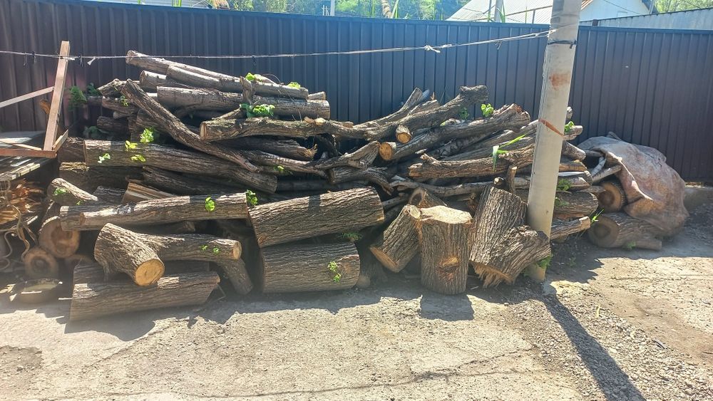 Продам дрова  срочно (Карагач)