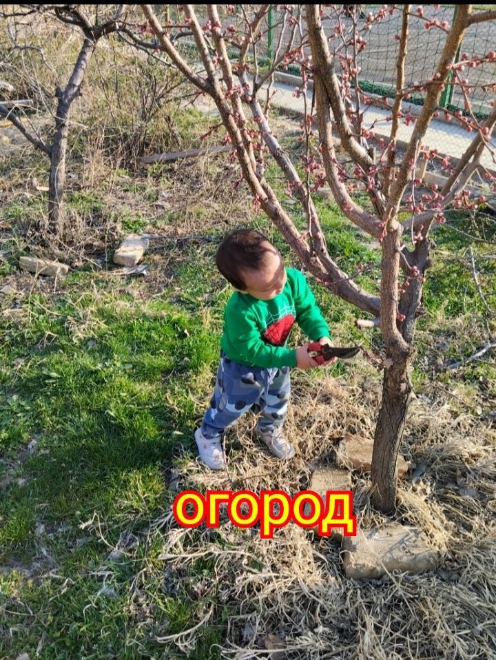 Продаётся 3-хкомнатная квартира 5-совхоз