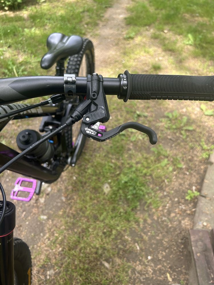Ns bikes delfine custom build не е trek santa cruz comencal yt propain