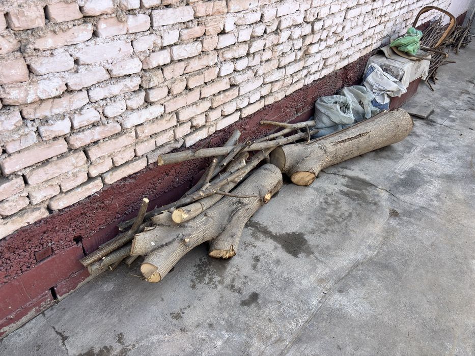 Продам дрова орешины цена договорная