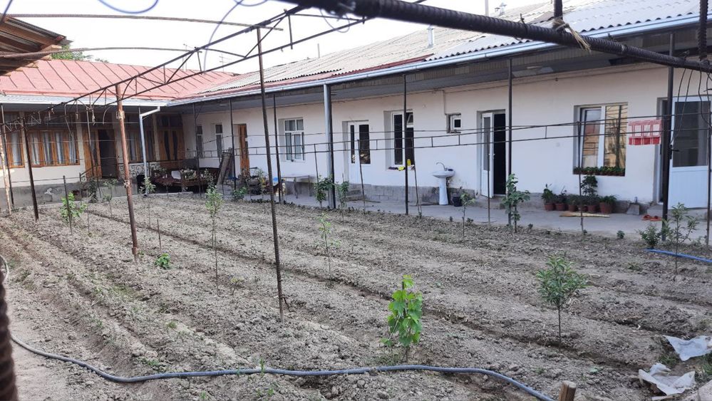 YunusObod oqtepa maxalla hovli sotiladi 1 sotixi 55000$