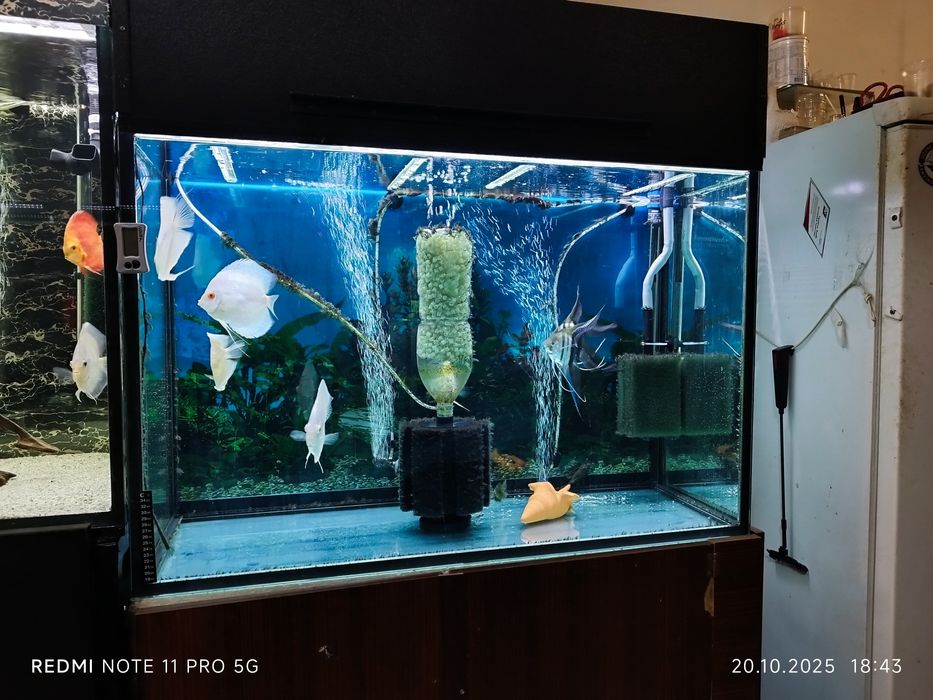 Дискуси всякакъв вид