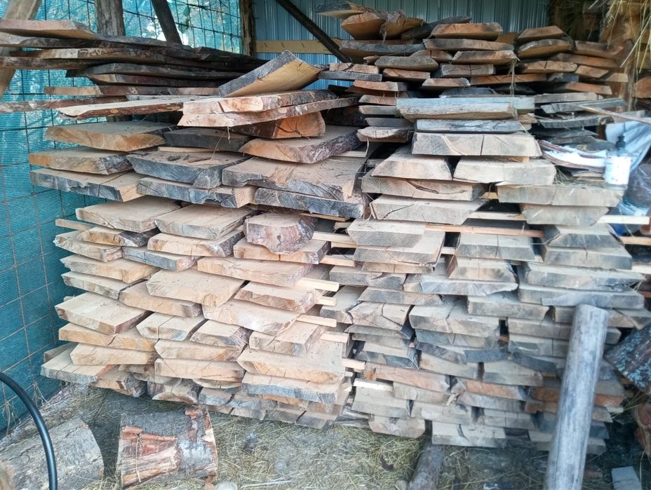 Cherestea cires, paltin munte