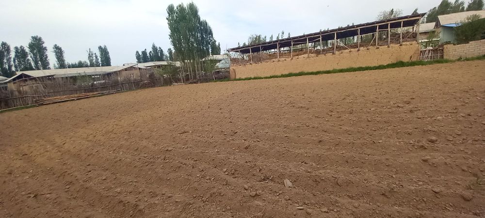 Uchastka sotiladi quruq yer