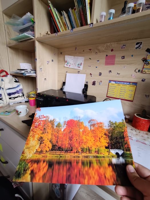 Принтер Epson L805