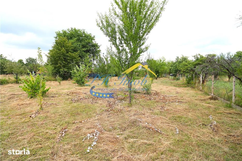 Teren Intravilan de vanzare, Campina