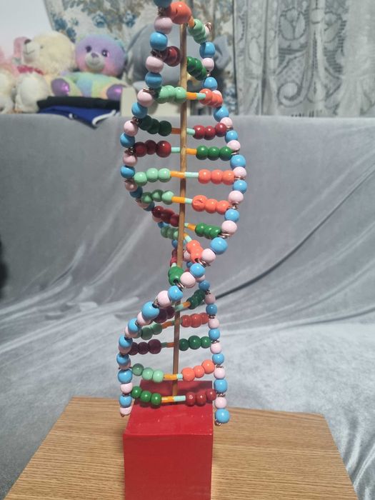 ADN Proiect scoala pentru copii clasa 5-8