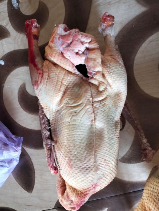 Продаются домашние гуси 2800