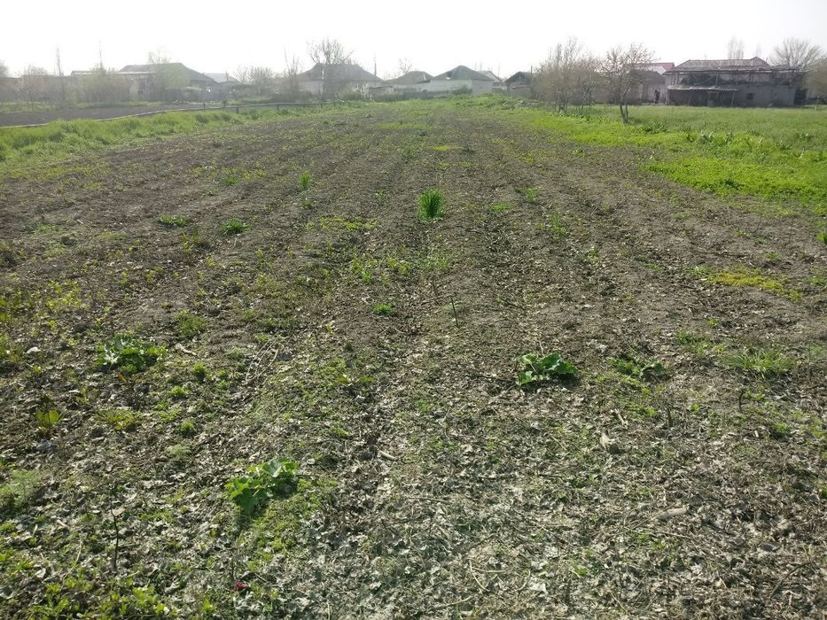 Продаются участки в ташкентской области