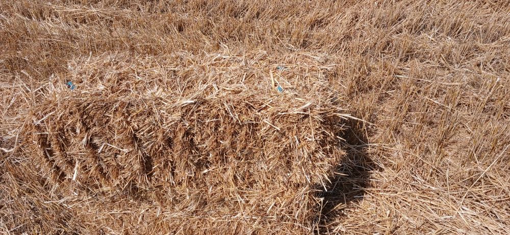 Vănd baloți de paie