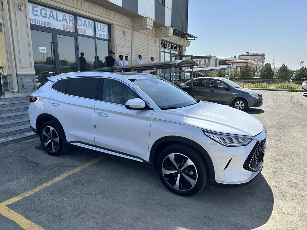 Byd gibrit 2023 yil