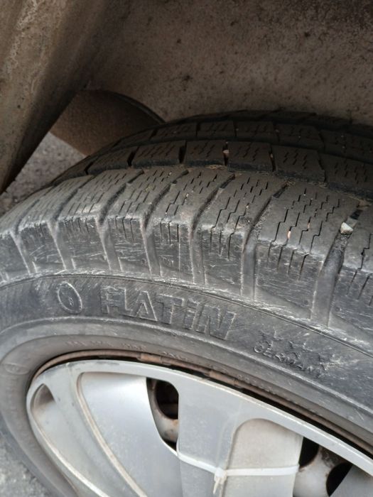 Transporter 19.model lung.