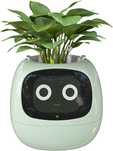 Ghiveci inteligent (smart) - Tuya Ivy Smart Planter (Alb si Verde)