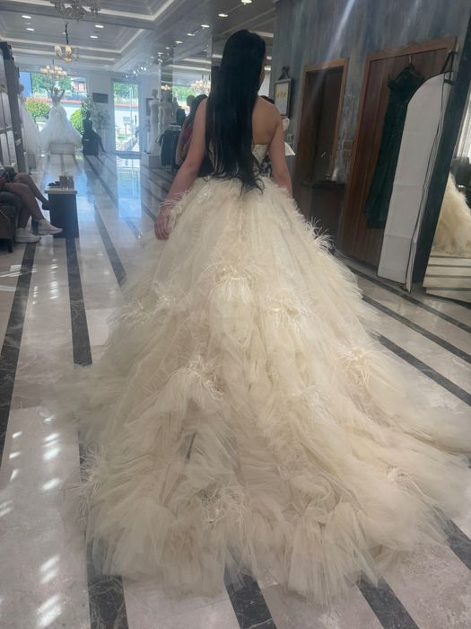 Дизайнер Stoyan Radichev!!!