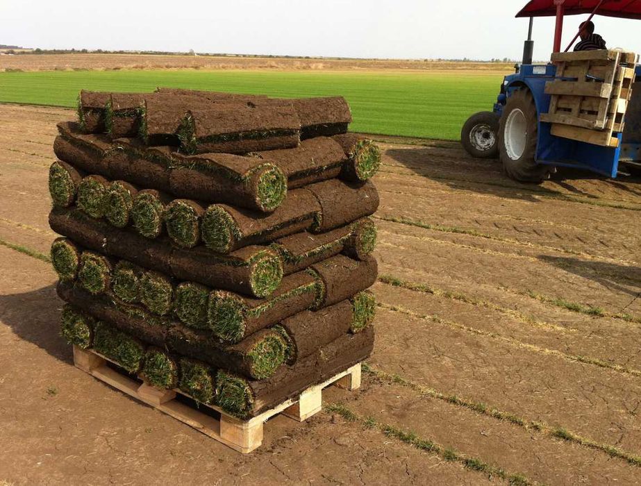 Gazon Rulou Sisteme de Irigare Profesionale Oriunde in tara