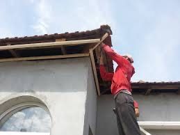 Edi meseriaș autorizat