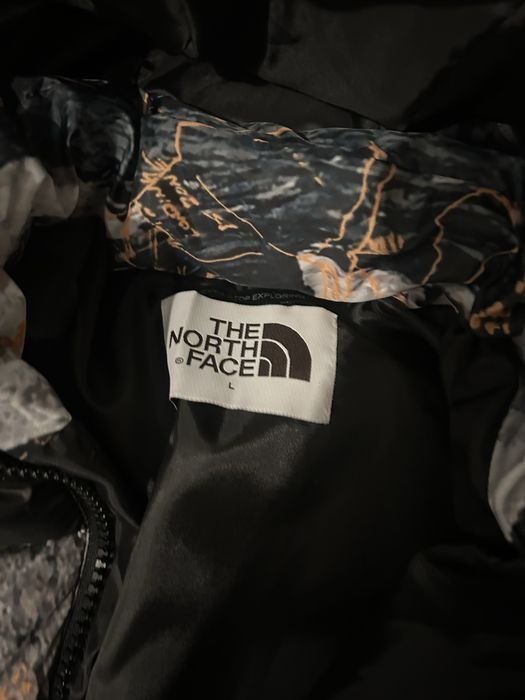 Geaca the north face