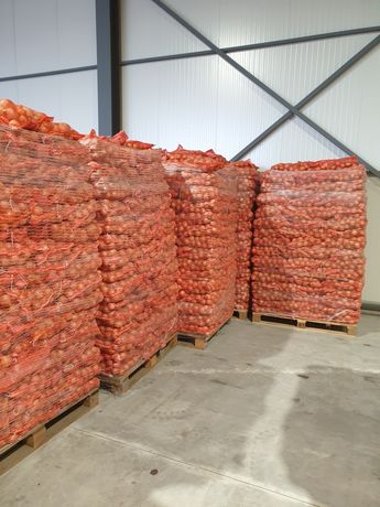 Ceapa cartofi import