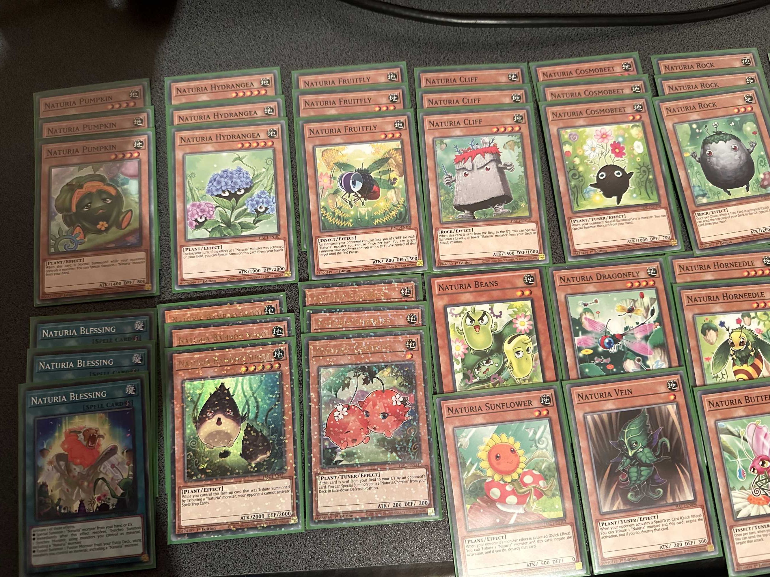 Yu Gi Oh Naturia deck