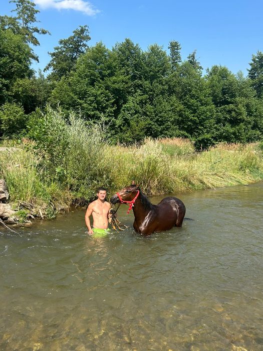 De vânzare  negociabil