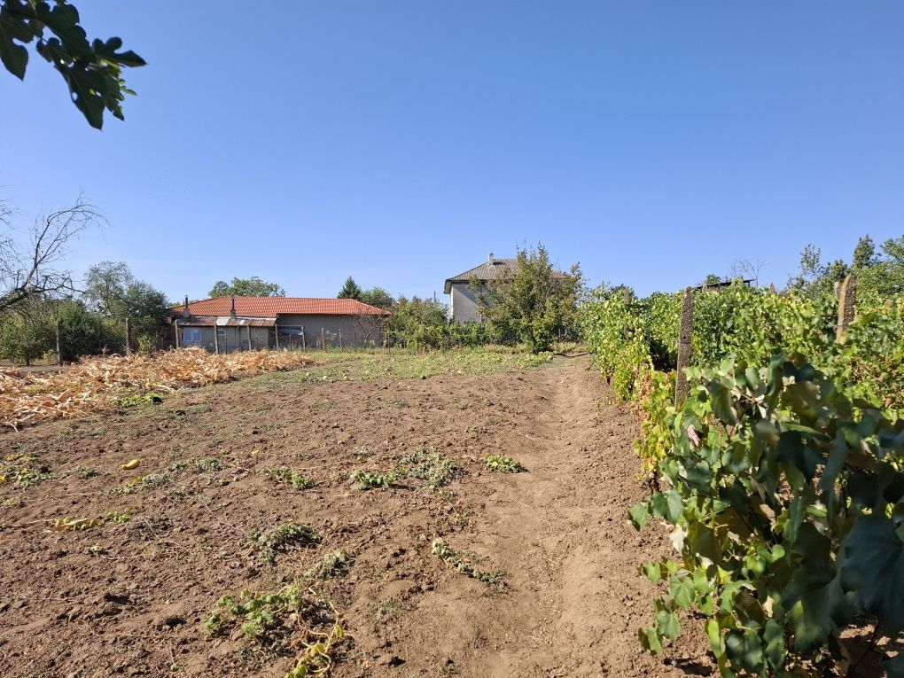 Имот в с. Калипетрово 1194кв.м.