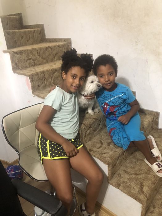 Cazare caini talie mica si medie