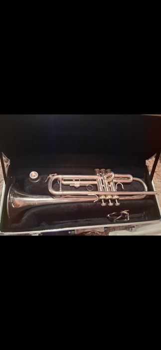 Vand trompetă Bernny