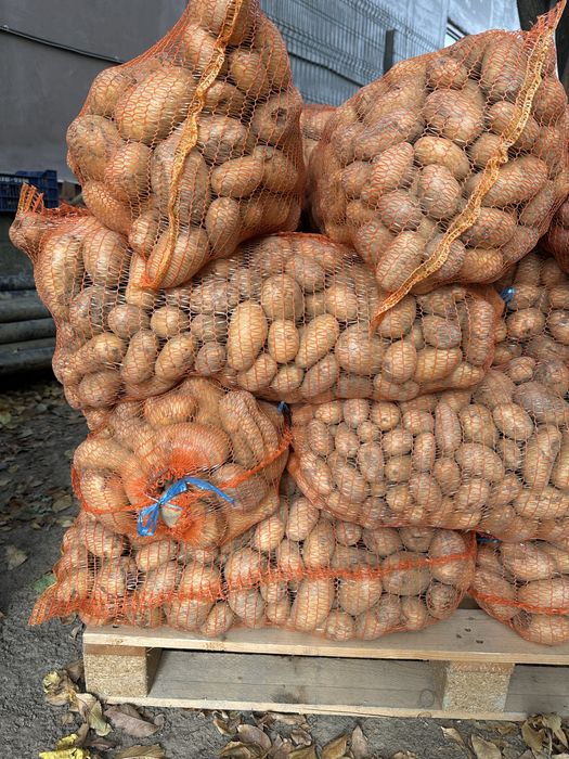 Cartofi pentru animale