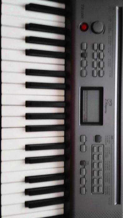 продам синтезатор Ringway TB100